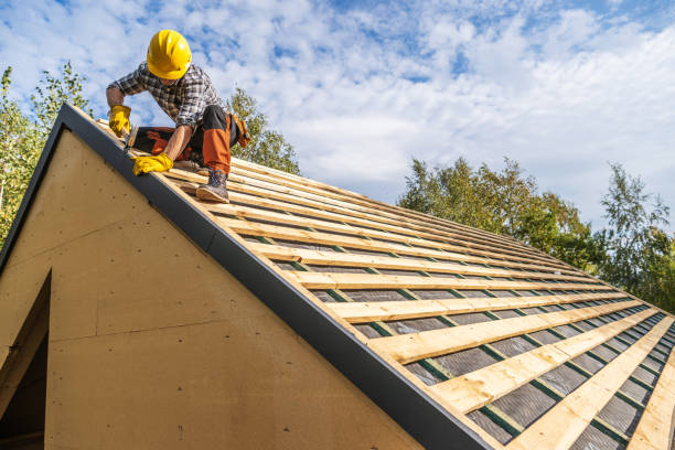 Best Roof Repair Services  in Lake Shastina, CA