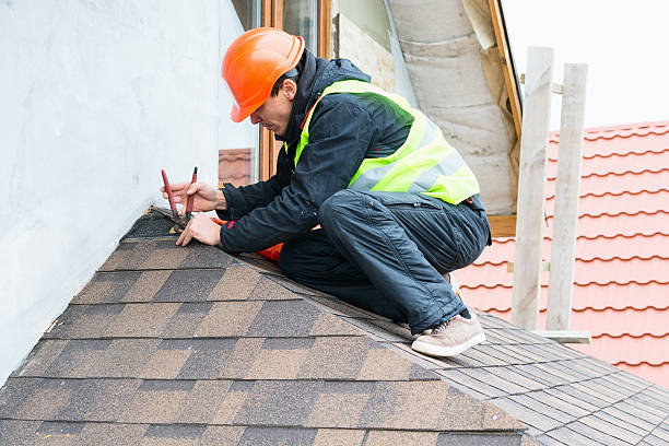 Best Roof Gutter Cleaning  in Lake Shastina, CA