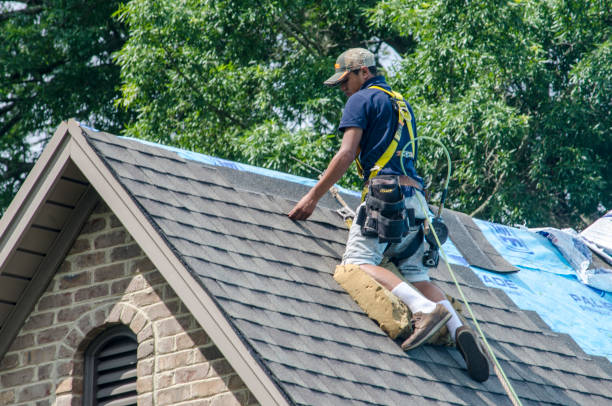 Best Metal Roofing Contractor  in Lake Shastina, CA